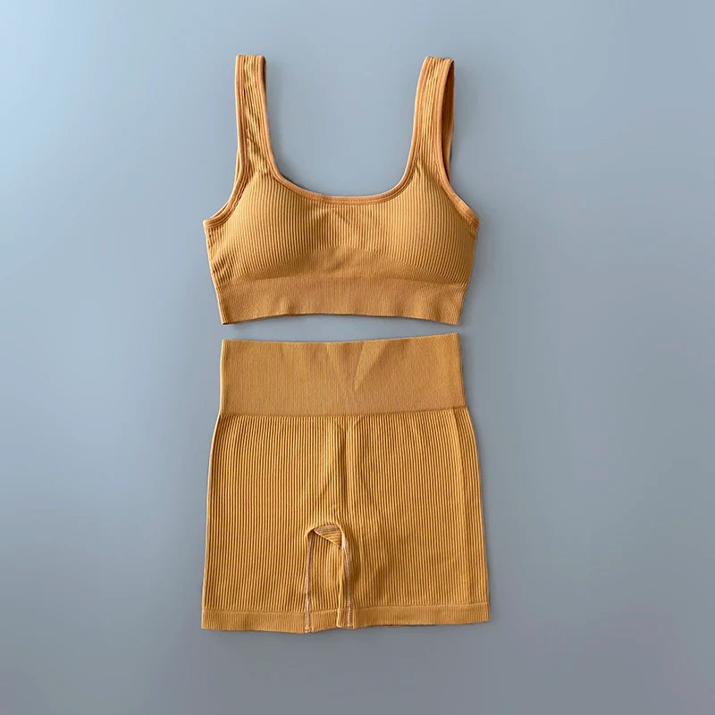 Conjunto Yoga Feminino Sem Costura - Kit 2 Peças Top e Legging